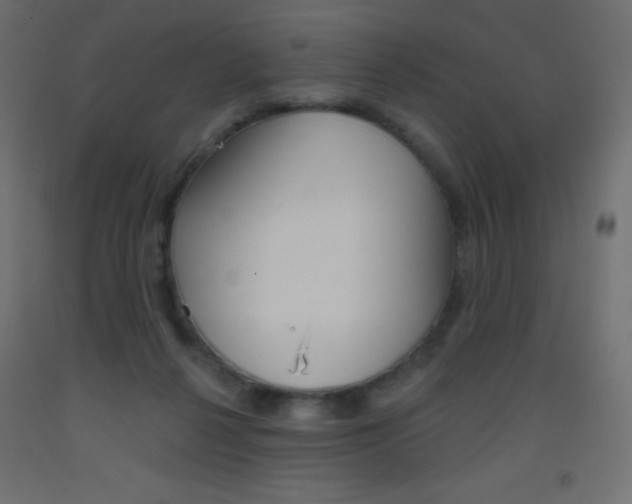 X0000093520264200710121134
