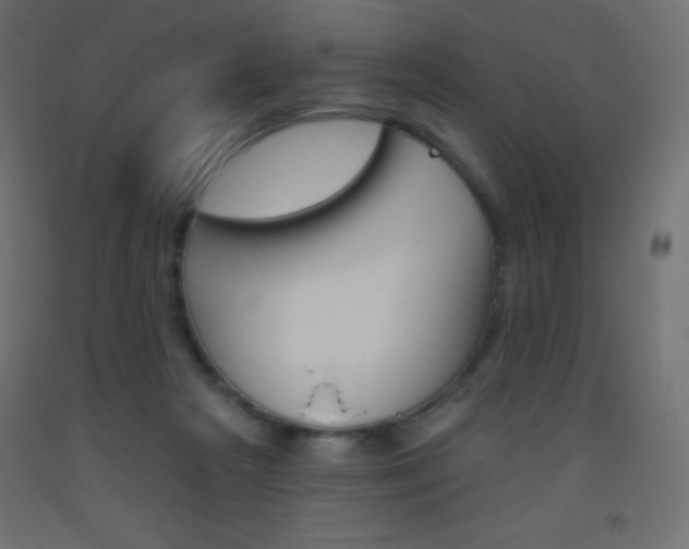 X0000093520265200710121134