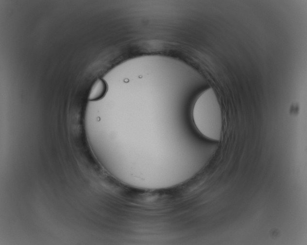 X0000093520267200710121134