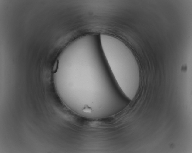 X0000093520268200710121134