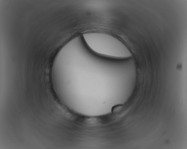 X0000093520269200710121134