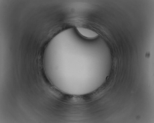 X0000093520270200710121134