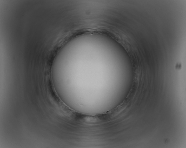 X0000093520272200710121134