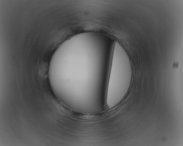 X0000093520273200710121134