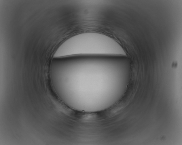 X0000093520274200710121134