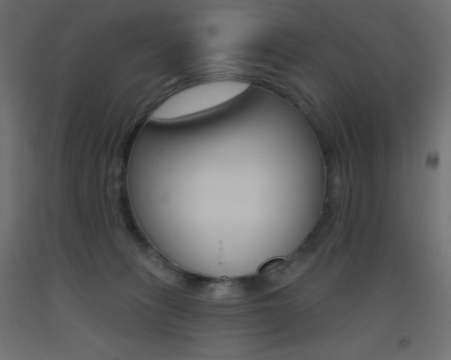 X0000093520275200710121134