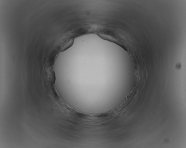 X0000093520276200710121134