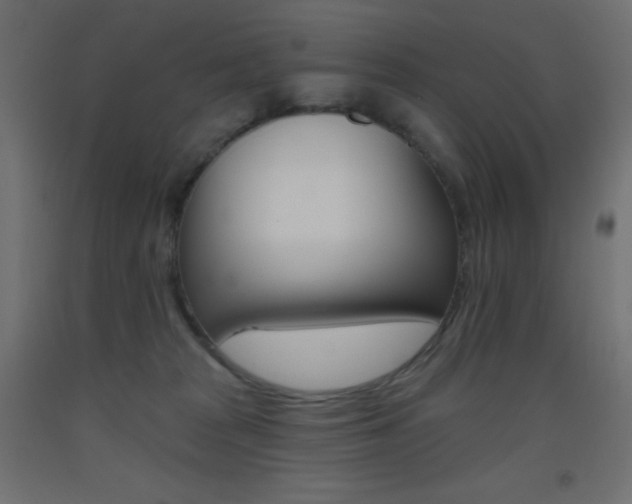 X0000093520277200710121134