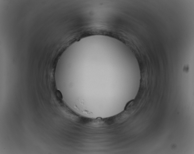 X0000093520278200710121134