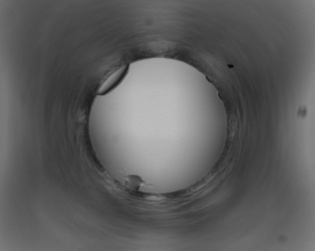 X0000093520279200710121134