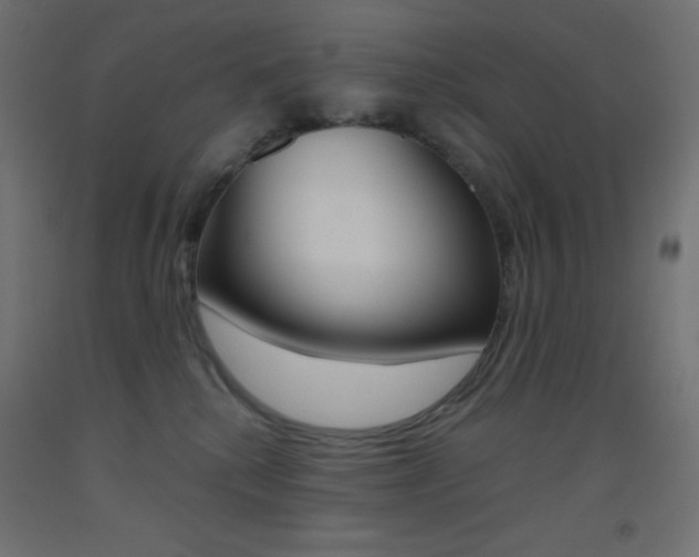 X0000093520280200710121134