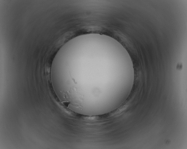X0000093520281200710121134