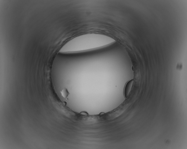 X0000093520282200710121134