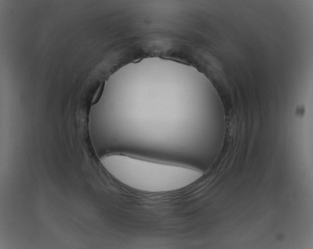 X0000093520283200710121134