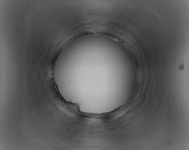 X0000093520284200710121134