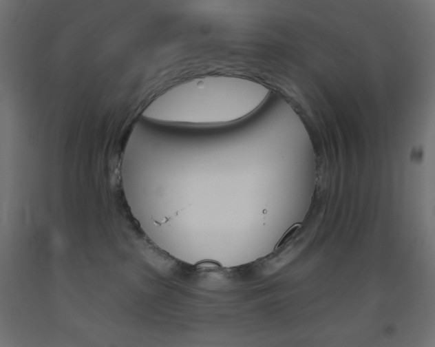 X0000093520285200710121134