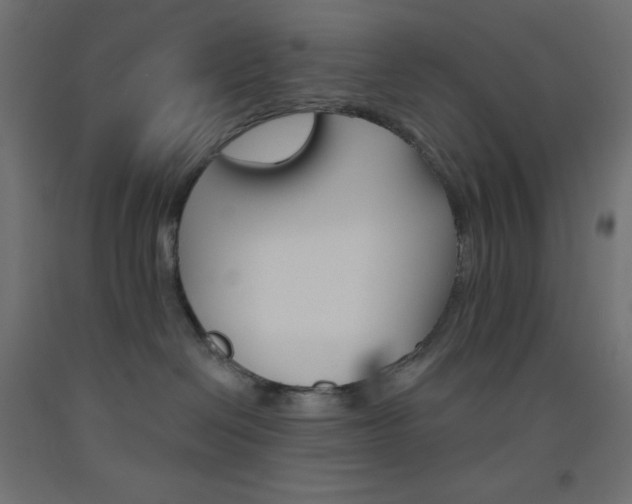 X0000093520286200710121134