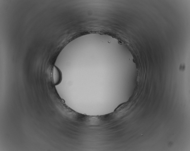 X0000093520287200710121134