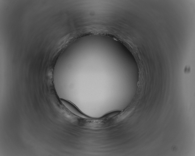 X0000093520288200710121134