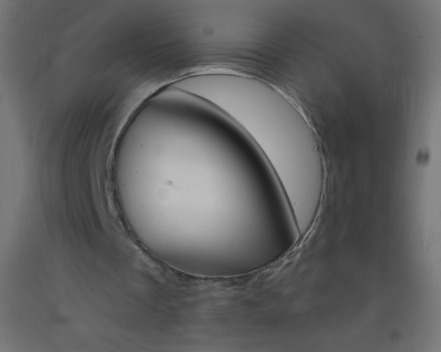 X0000093520289200710121134