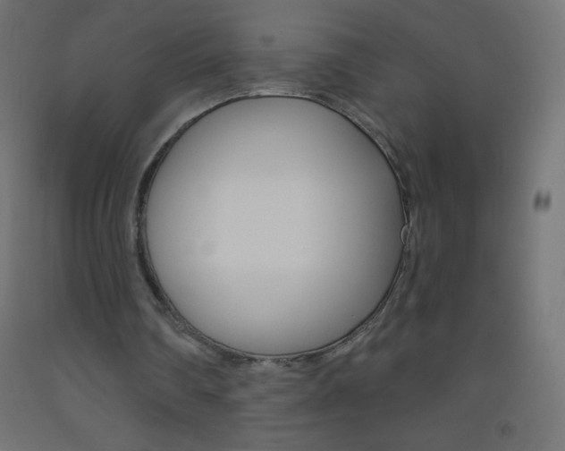 X0000093520290200710121134