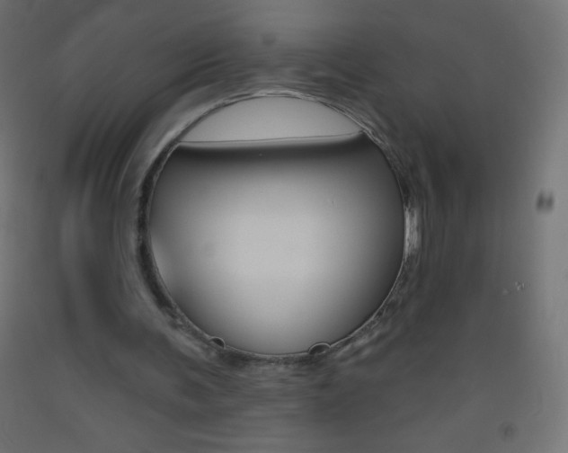 X0000093520291200710121134