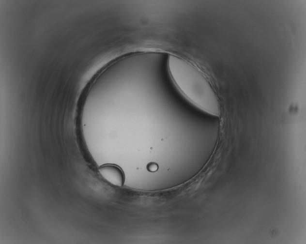 X0000093520292200710121134