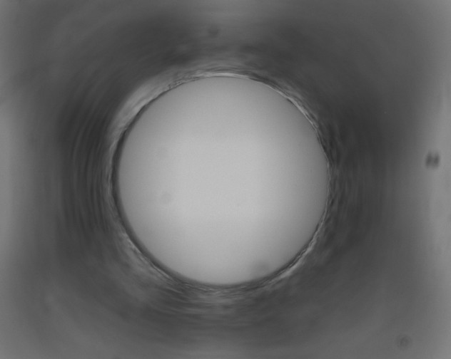 X0000093520293200710121134