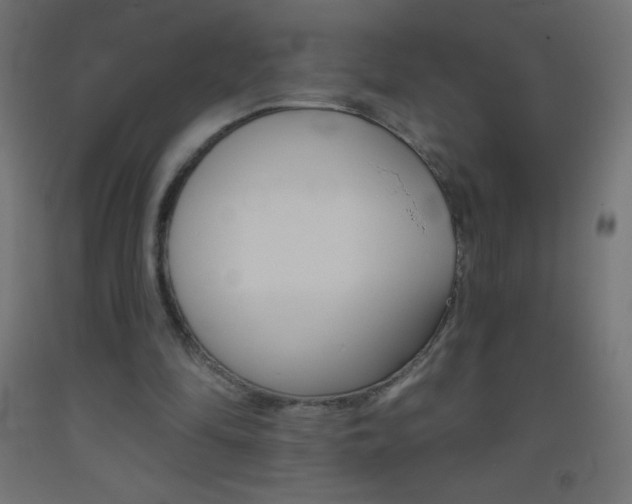 X0000093520294200710121134