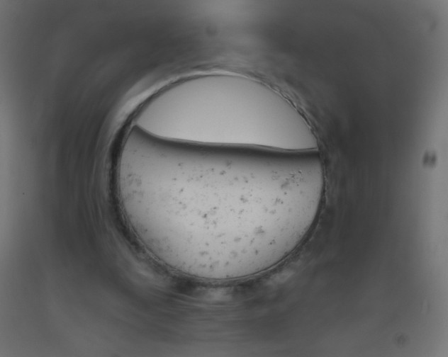 X0000093520295200710121134
