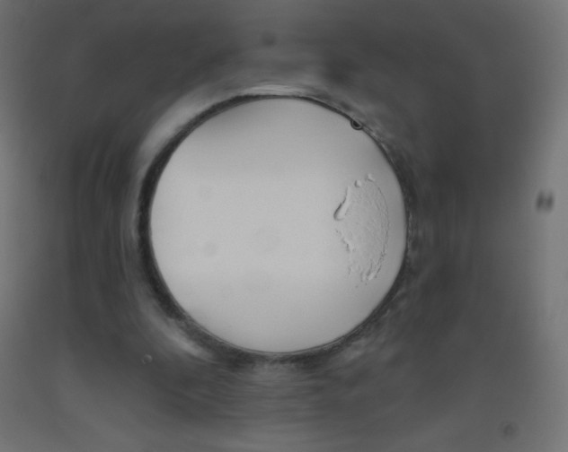 X0000093520296200710121134