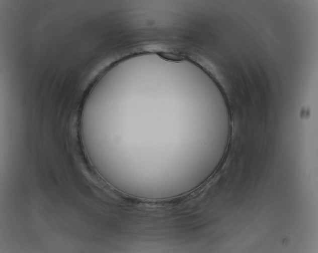 X0000093520297200710121134