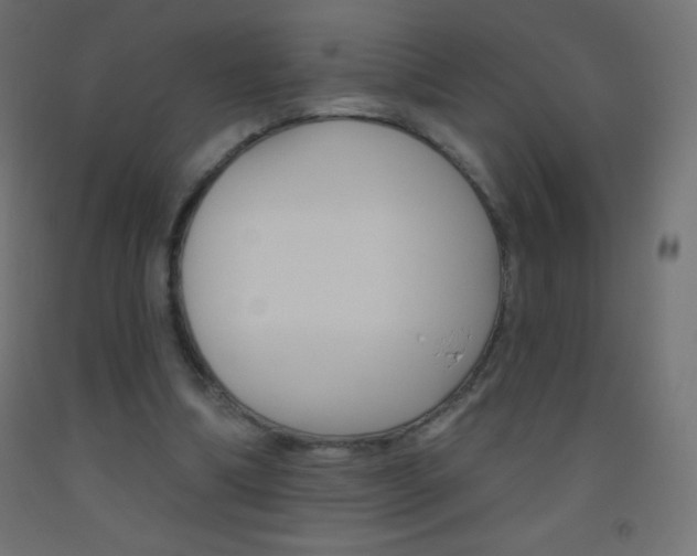 X0000093520298200710121134