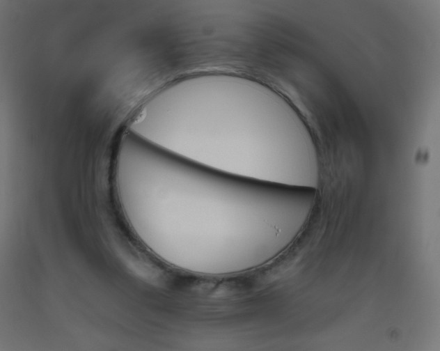 X0000093520299200710121134