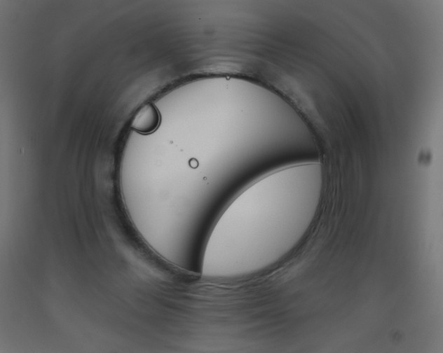 X0000093520300200710121134