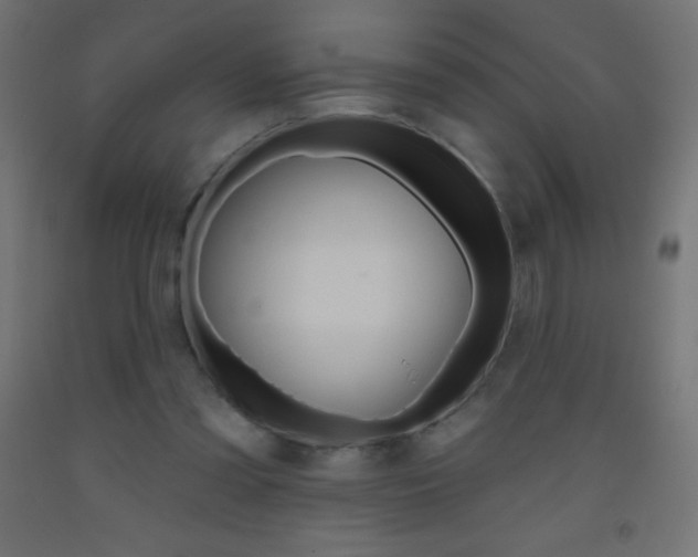 X0000093520301200710121134