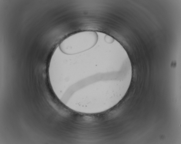X0000093520302200710121134