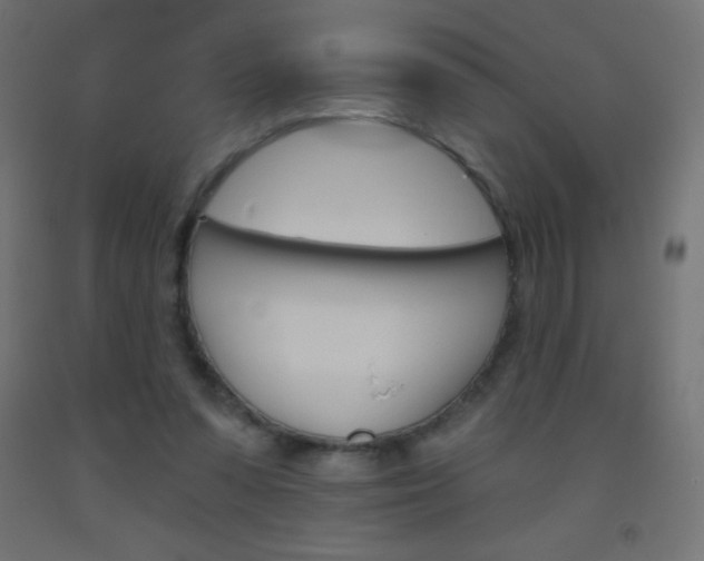 X0000093520303200710121134