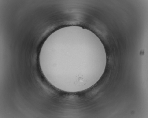 X0000093520304200710121134