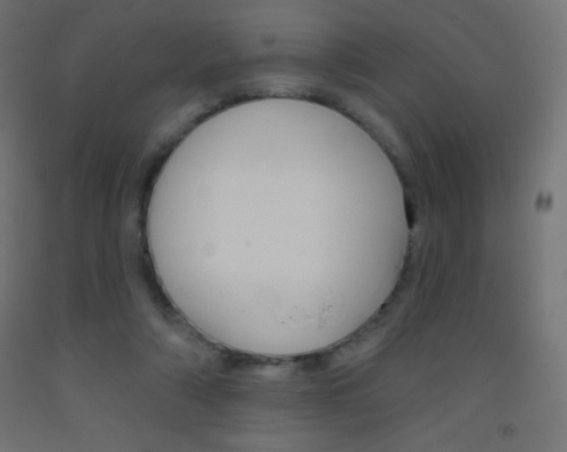 X0000093520306200710121133