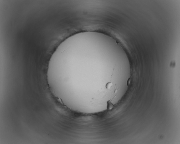 X0000093520307200710121133