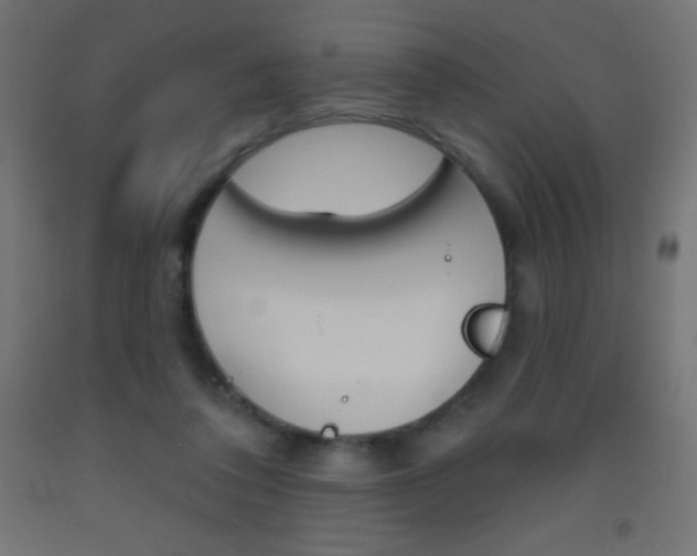X0000093520308200710121133