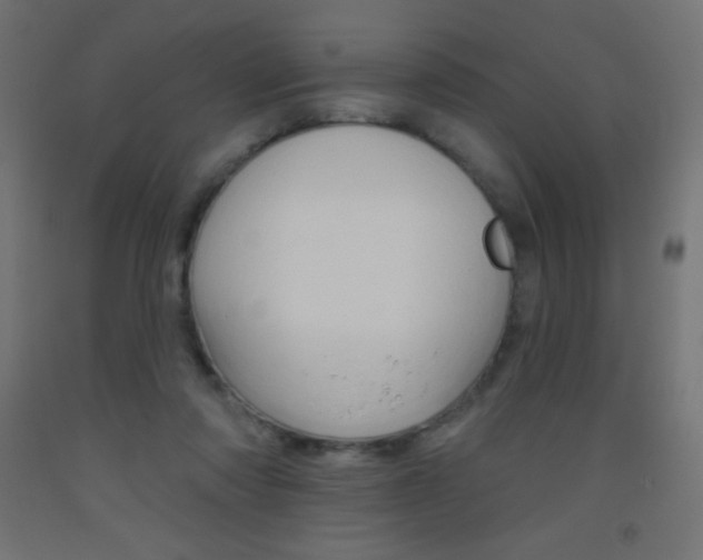 X0000093520310200710121133