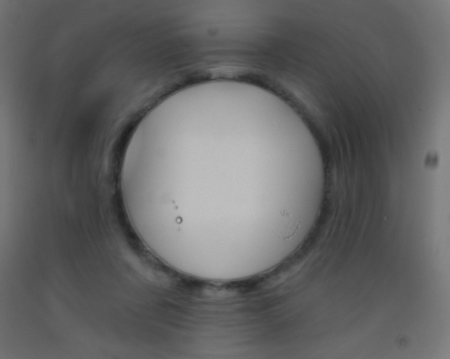 X0000093520311200710121133