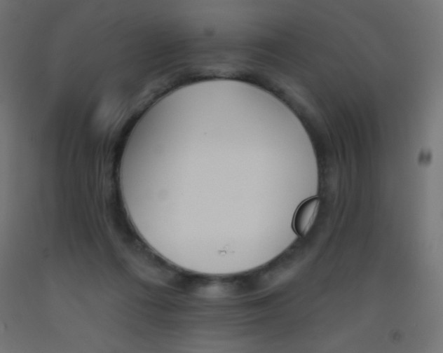 X0000093520312200710121133