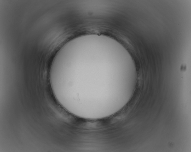 X0000093520314200710121133