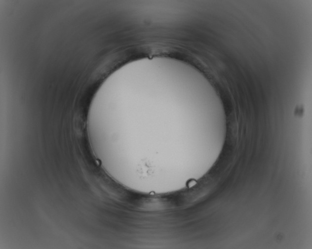 X0000093520316200710121133
