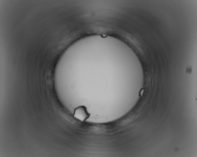X0000093520317200710121133