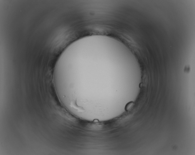 X0000093520318200710121133