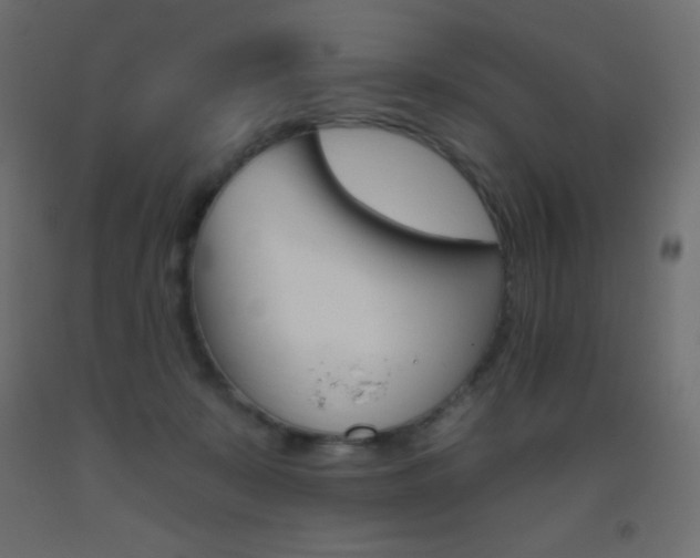X0000093520319200710121133